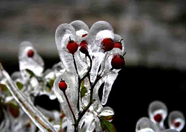 分析近期凈水器行業(yè)的發(fā)展狀況