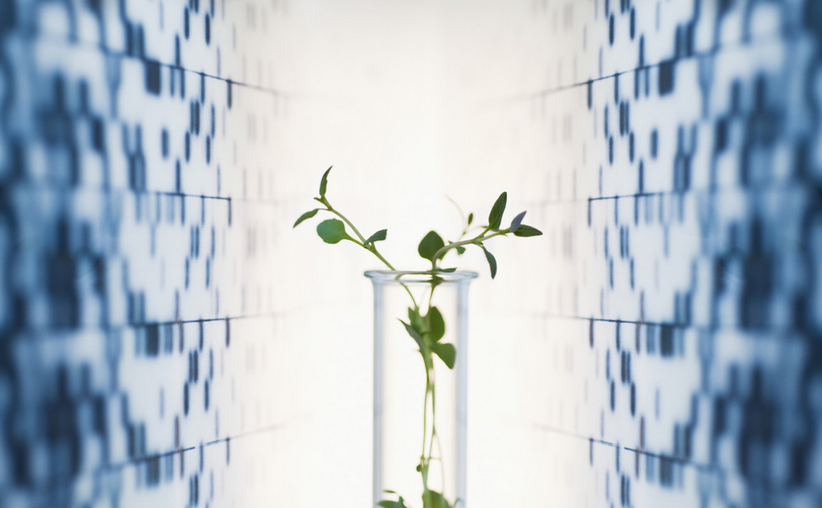 漢斯頓在凈水器行業(yè)中的影響力從何而來