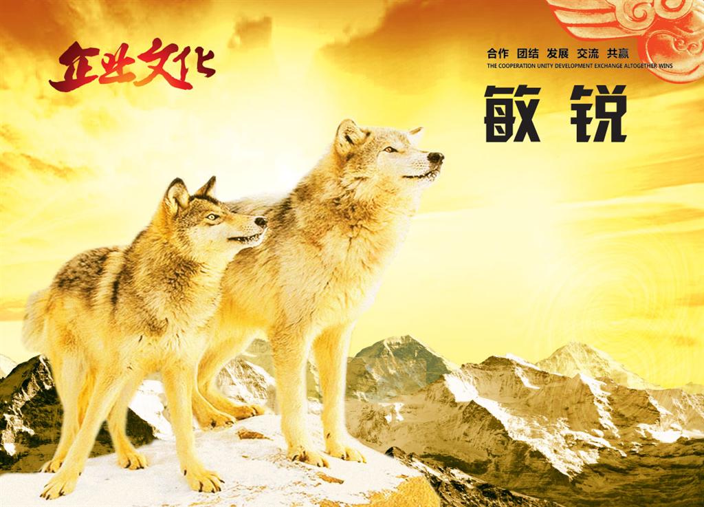 未來的凈水器行業，漢斯頓將成為覆蓋整個市場