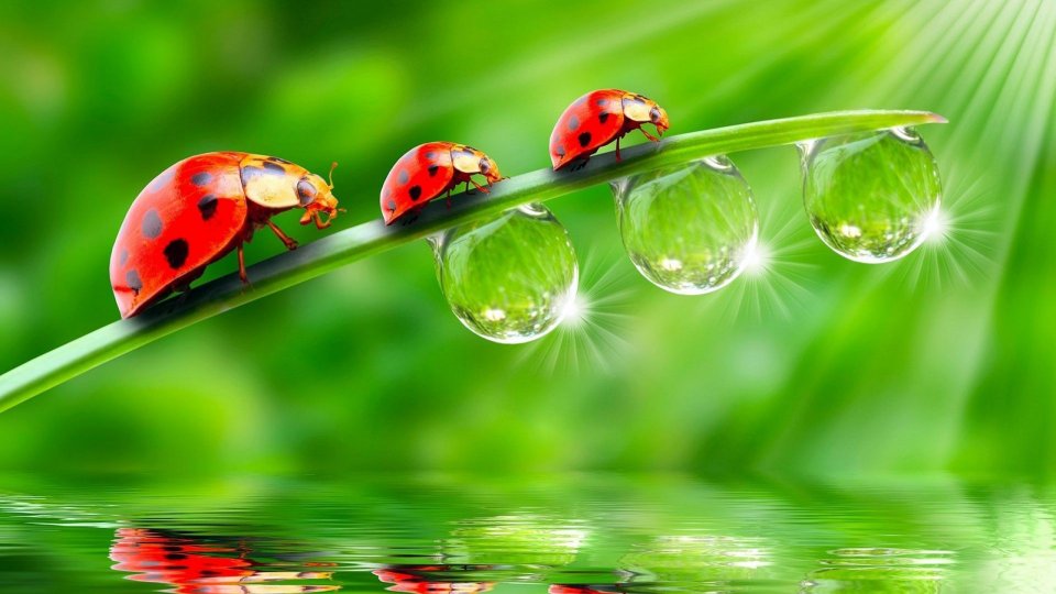 漢斯頓將重點創(chuàng)新生產(chǎn)技術